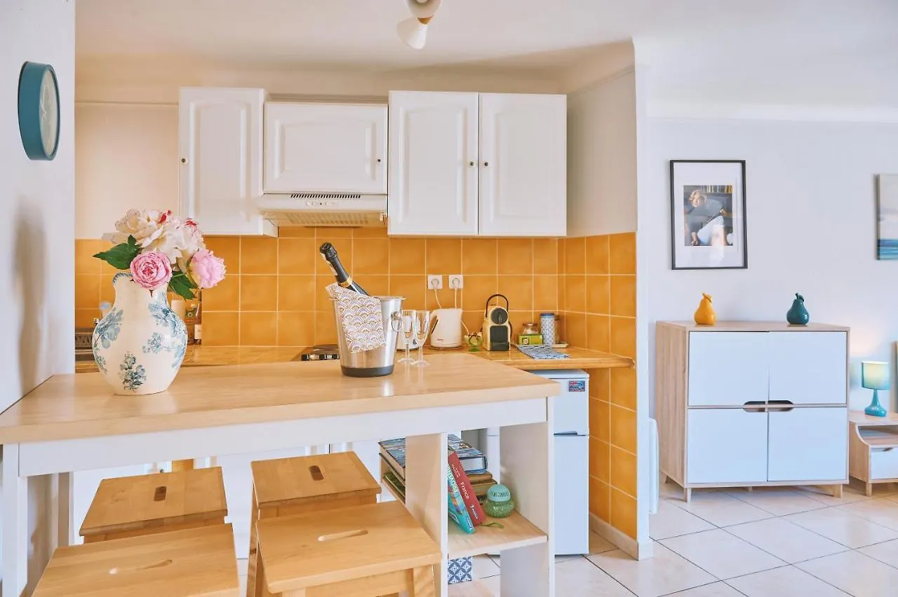 Grand Studio Cannes Centre Apartment